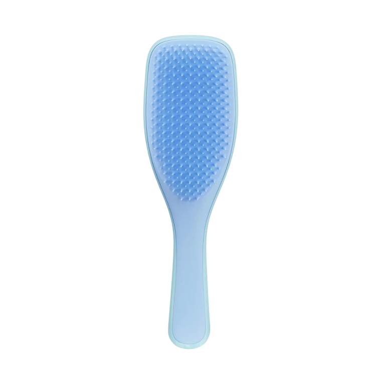 برس موی خیس تنگل سایز رگولار - Tangle Teezer The Ultimate Detangler